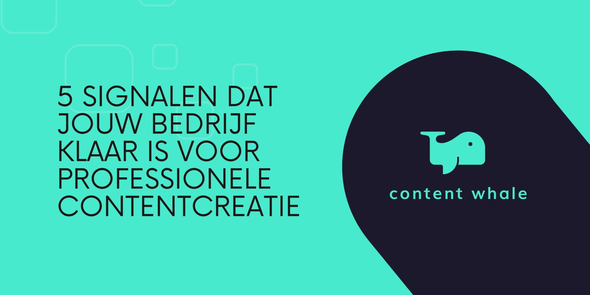 professionele contentcreatie
